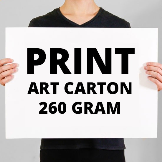 

0138 PRINT ART CARTON 260 GRAM