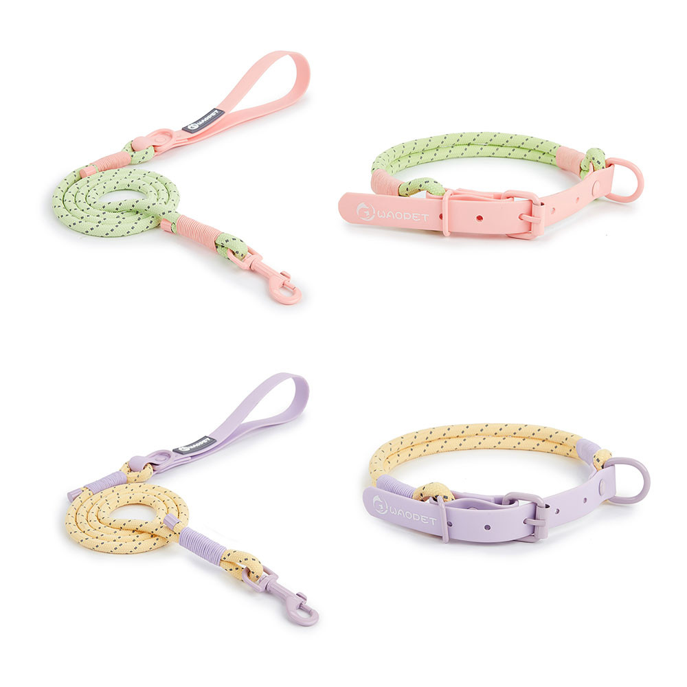 

Pet Supplies Dog Collar For Small and Medium Dog Walking Sugar Color Series Cute style PVC Webbing Collar Leashes Set 2024 New