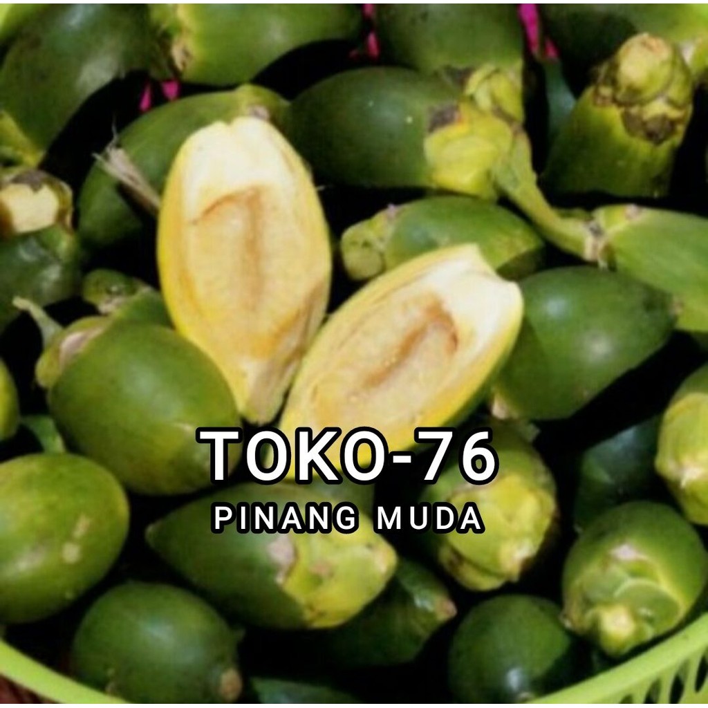 

pinang mud segar 1 kg / Jambe muda