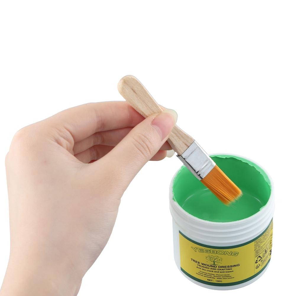 

100g Tree Grafting Paste Tree Wound Paste Smear Agent Tree Pruning Sealer Plant Saw Cuts Coating Pruning Heal Wound Repair Tools