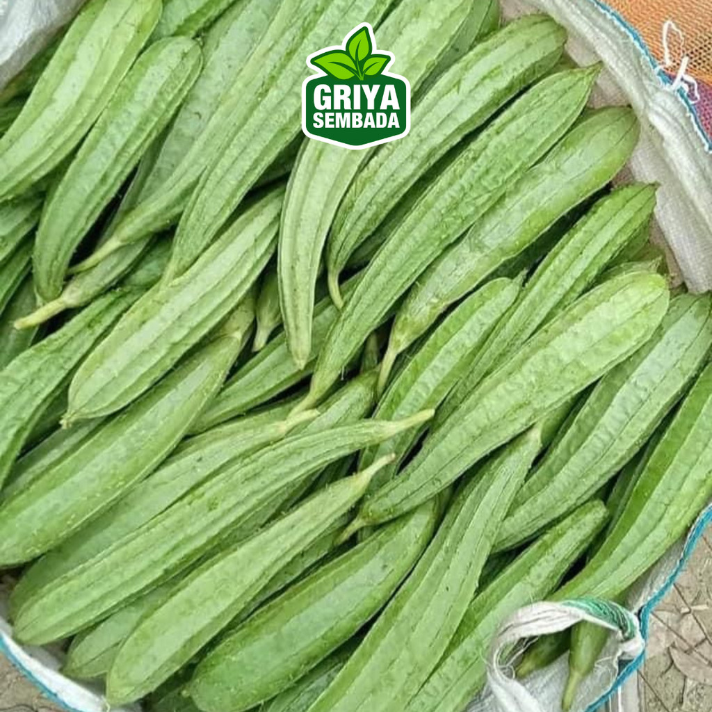 

gambas/oyong sayuran segar fresh