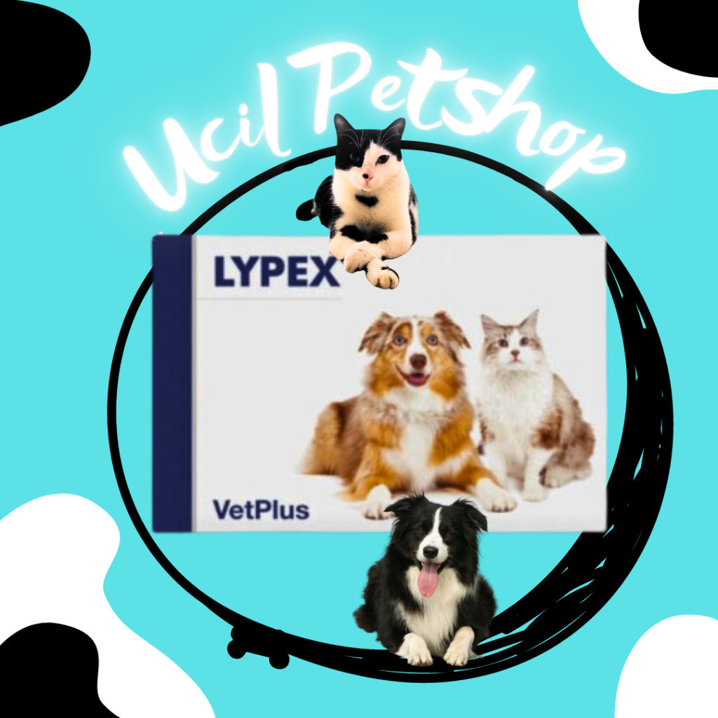 Lypex VetPlus Enzim Pencernaan Anti Diare Kucing Anjing (1 Strip)
