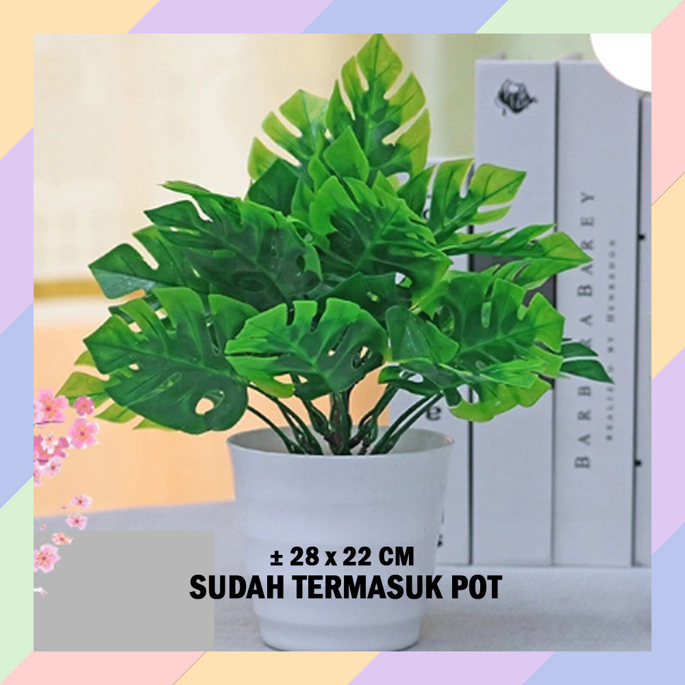 TP09 Tanaman Plastik JANDA BOLONG Ornamen Hiasan Dekorasi Pot Bunga Meja 11B3