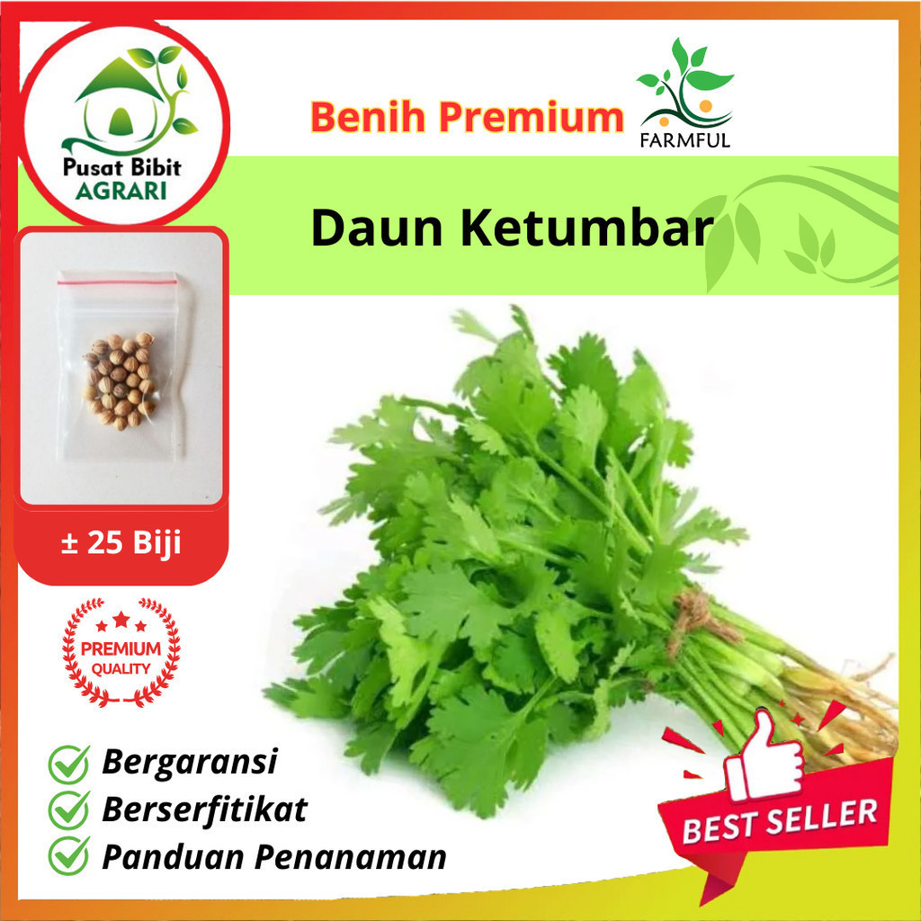 FARMFUL Benih Daun Ketumbar Favor Tanaman Herb Coriander