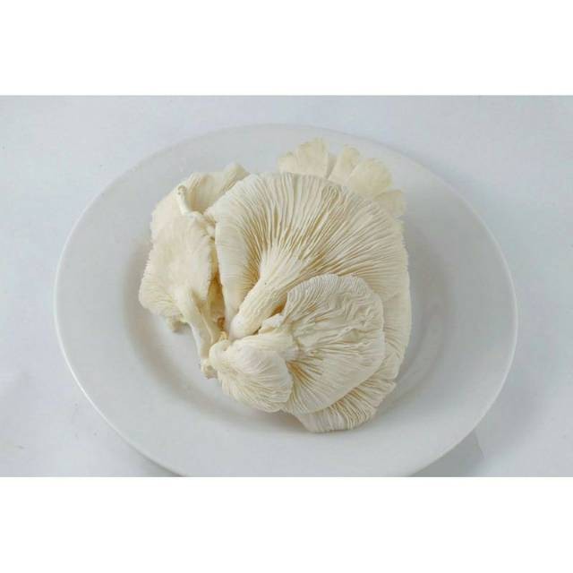 

Jamur Tiram Berat 250 gram