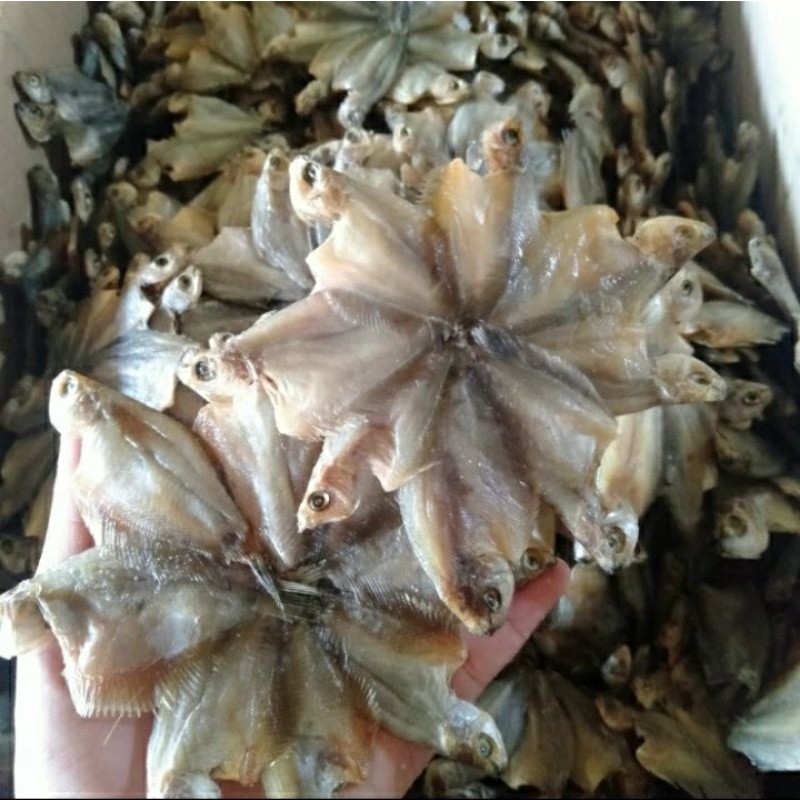 

Ikan Asin Sepat Bintang Khas Banjarmasin / Iwak Sepat Bintang / Berat 500 Gram