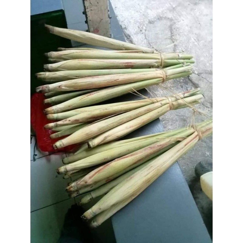 

New Trubuk sayur 1 ikaat 1kg turubuk sgar