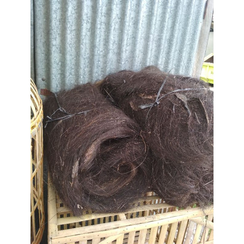 Ijuk Aren Kakaban - Ijuk berharupat/berduri - untuk menempelnya telur ikan - bahan atap villa , gaze