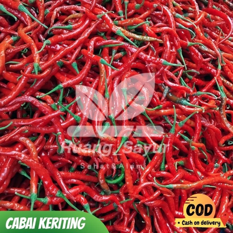 

Paket Cabe / Cabai Merah Keriting , Cabai Keriting 1 Kg , Cabai Keriting Fresh