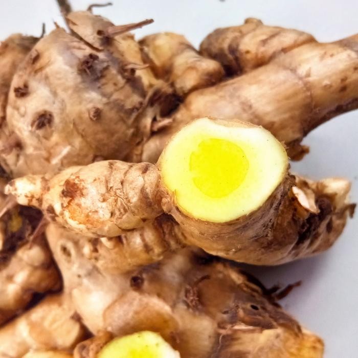 

Temu mangga / Temu putih (curcuma mangga) / 1 kg