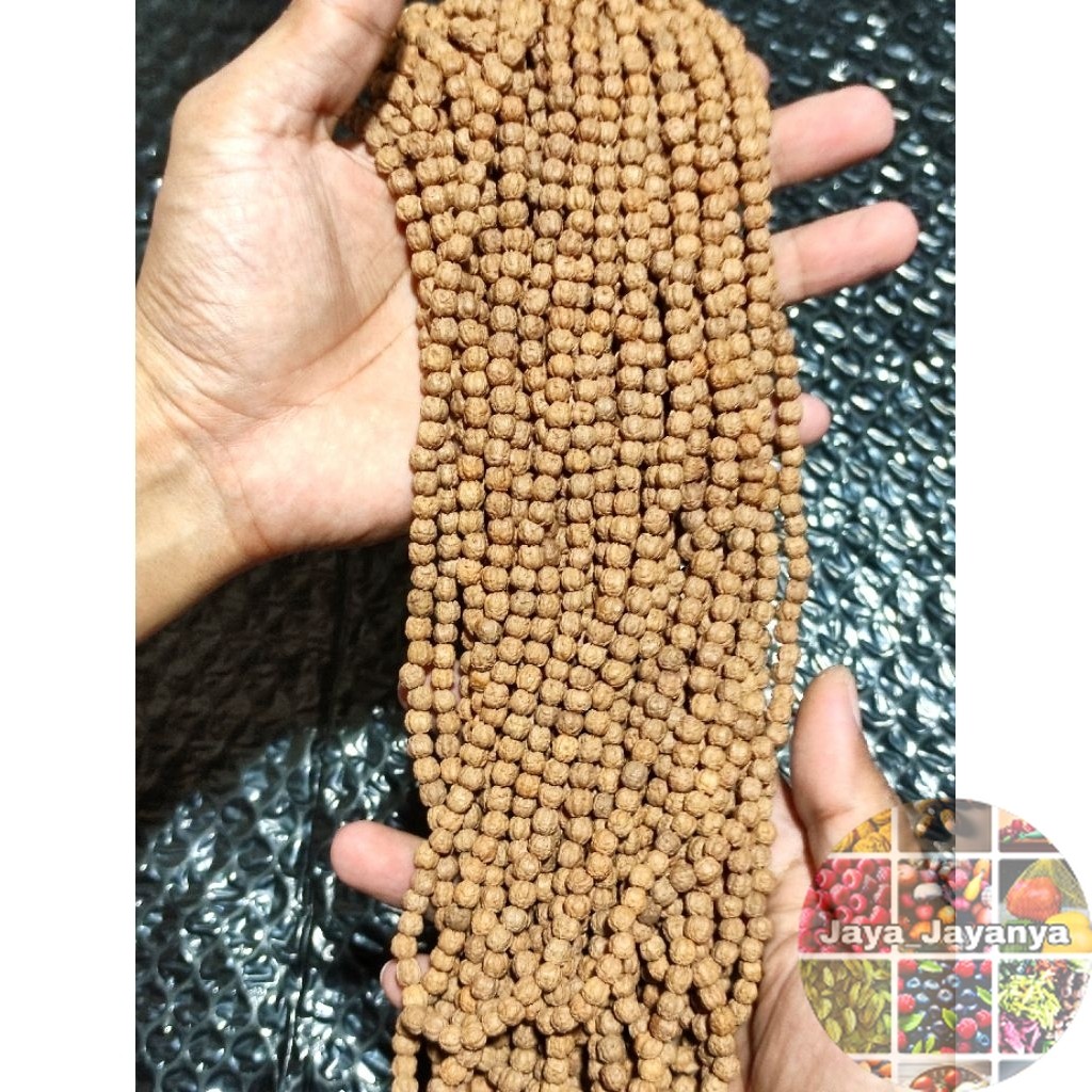 KALUNG JENITRI RUDRAKSHA KECIL UKURAN 5-6MM KECIL ISI ±108 BUTIR Jaya_Jayanya