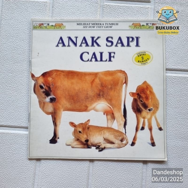 Anak Sapi Calf - Seri Melihat Mereka Tumbuh BILINGUAL - Buku Cerita Anak Bekas Preloved