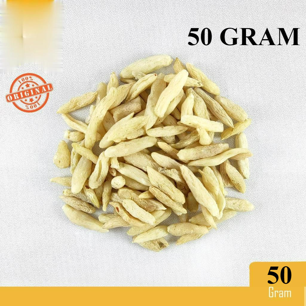 

MAI DONG (50 GRAM) / MAI MEN DONG / TUBER OPHIOPOGONIS JAPONICI MAIDONG