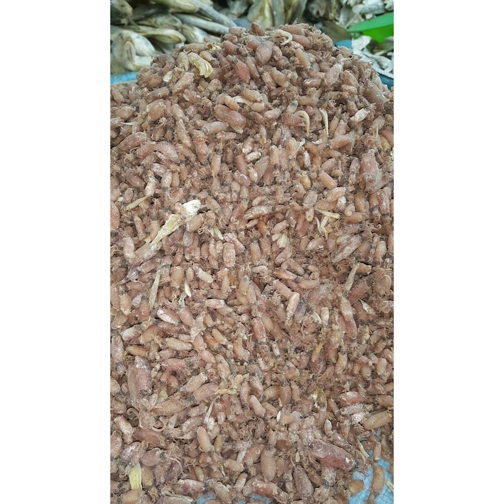 

ikan asin cumi - 0-2cm Terlaris