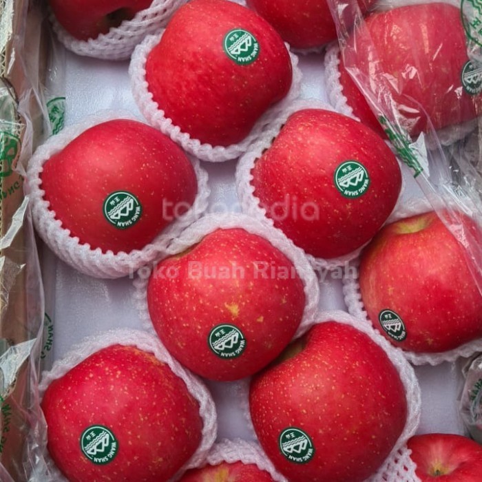 

apel fuji wangsan /kg 2varial apel fruit fresh