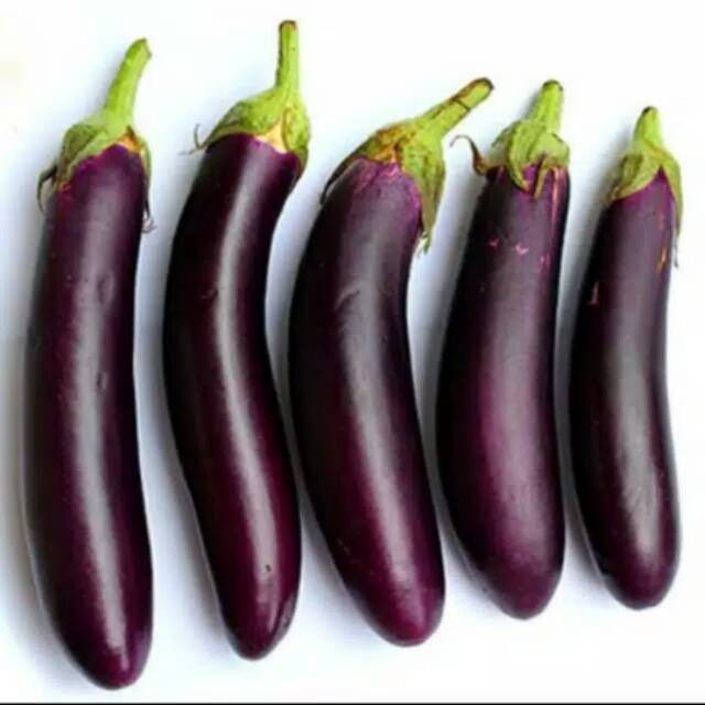 

Promo Forr Salee Terong Ungu 1kg