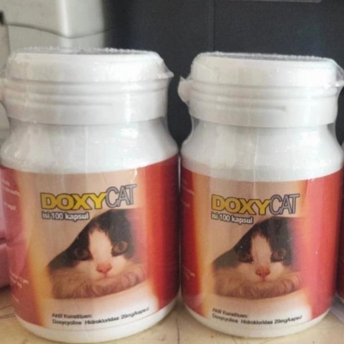 obat flu kucing im organik isi 100 tablet