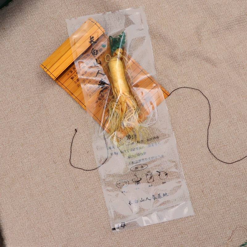 

Ginseng Hidup Premium 100gr – Energi Alami, Langsung dari Alam