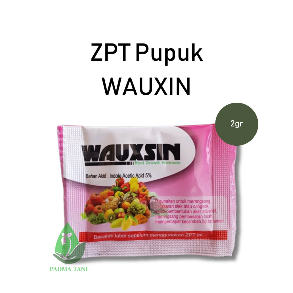 Hormon ZPT Akar WAUXIN 2 Gram