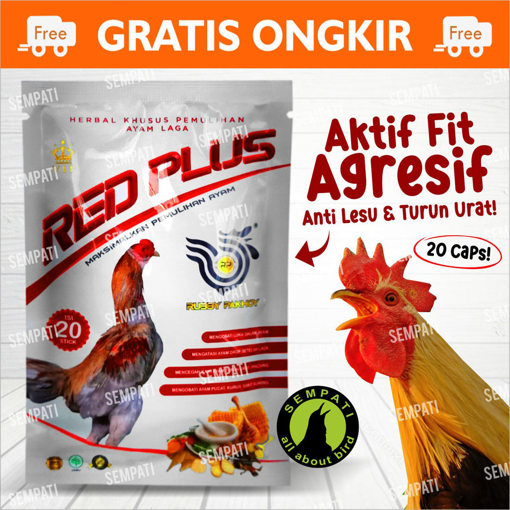 SEMPATI Red Plus Rubby Pakhoy Jamu Herbal Vitamin Ayam Jantan Bangkok Jago Aduan Petarung Pasca Habi
