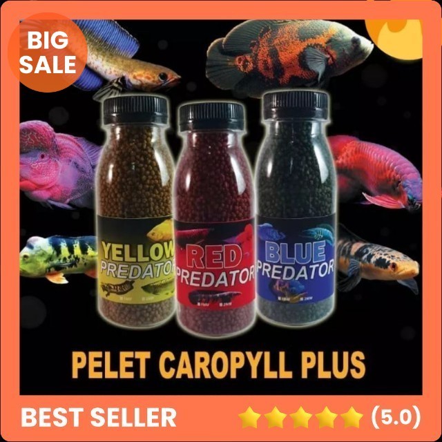 Pelet ikan chana premium blue yellow red carophyll / pelet chana / pelet ikan chana / pelet ikan / c