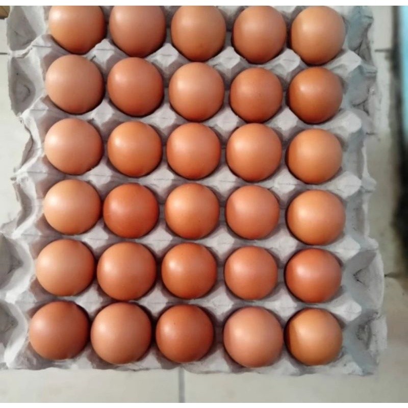 

Telur Ayam Super Fresh