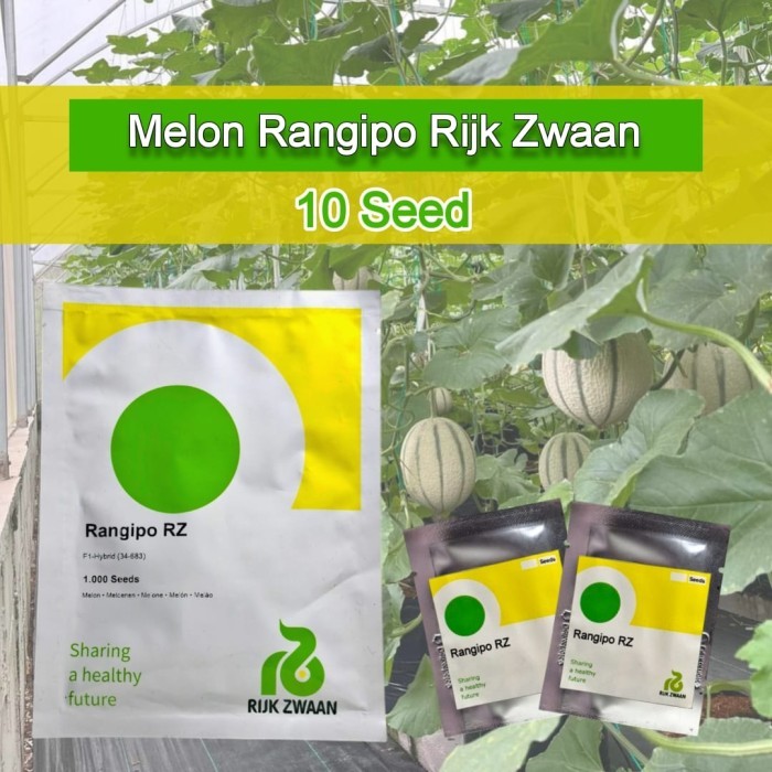Benih Melon Rangipo RZ Kemasan Repack 10 Butir Rijk Zwaan Melon Premium