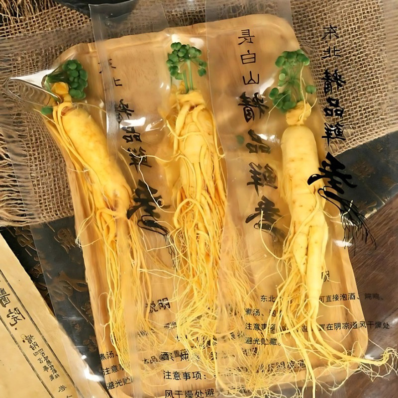 

Ginseng asli fresh pegunungan changbai kemasan vakum jumbo