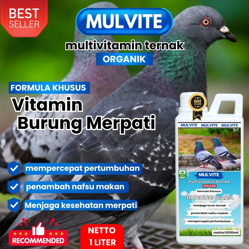 MULVITE Vitamin Burung merpati Agar Cepat Bertelur Obat Betina Anti Macet Nelur Untuk Ternak Breedin