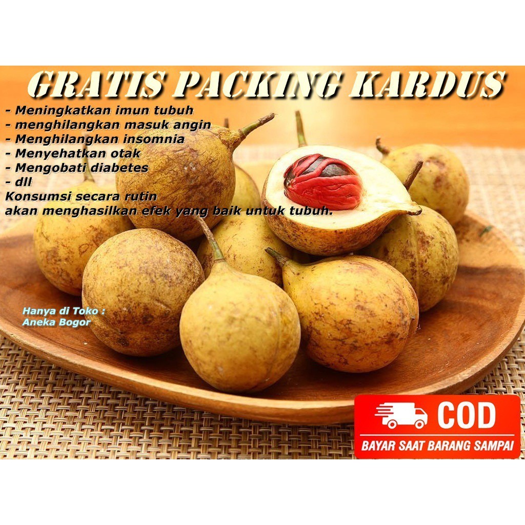 

Buah Pala Mentah 1 kg/buah pala termurah/rempah rempah