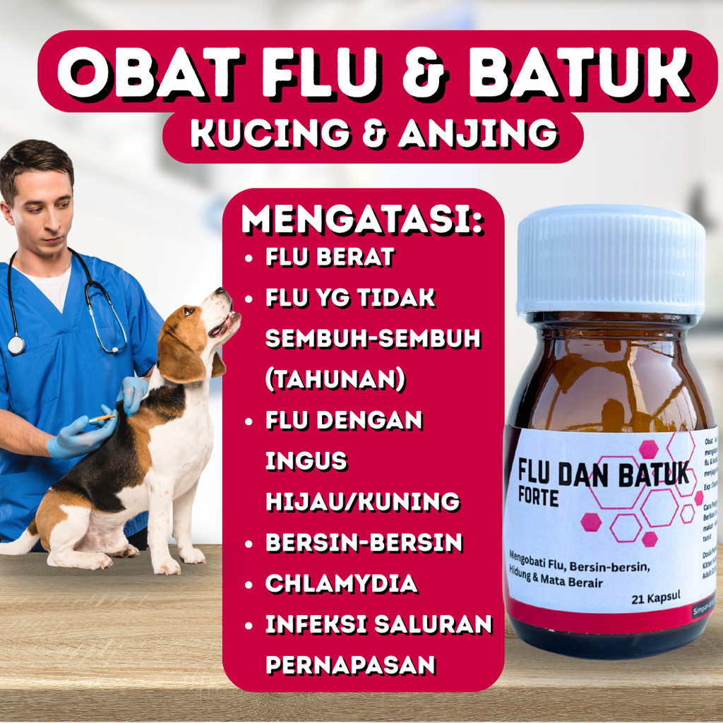 FLU DAN BATUK FORTE KAPSUL OBAT FLU KUCING KITTEN ANJING ANAK HEWAN PILEK CAT MURAH AMPUH DOG PUPPY 