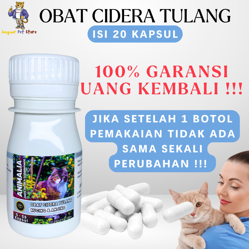 VITAMIN OBAT KUCING LUMPUH PENGUAT TULANG CEDERA TULANG