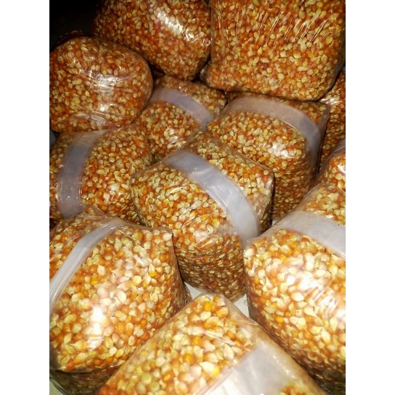 

Jagung Popcorn Mentah | Grade A Premium 1kg