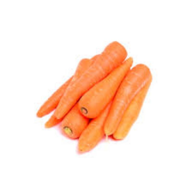 

SHOPEE TERLARISS WORTEL IMPORT MEDAN BRASTAGI FRESH 500G