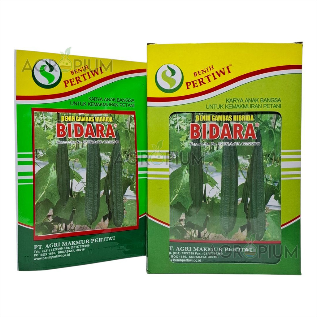 Benih Oyong Gambas Bidara F1 Isi 10 Gram Cap Benih Pertiwi