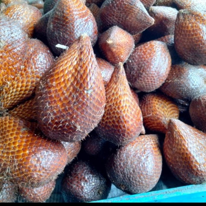 

salak