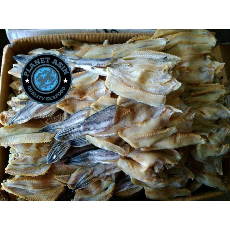 

Asin Gabus/Ikan asin gabus