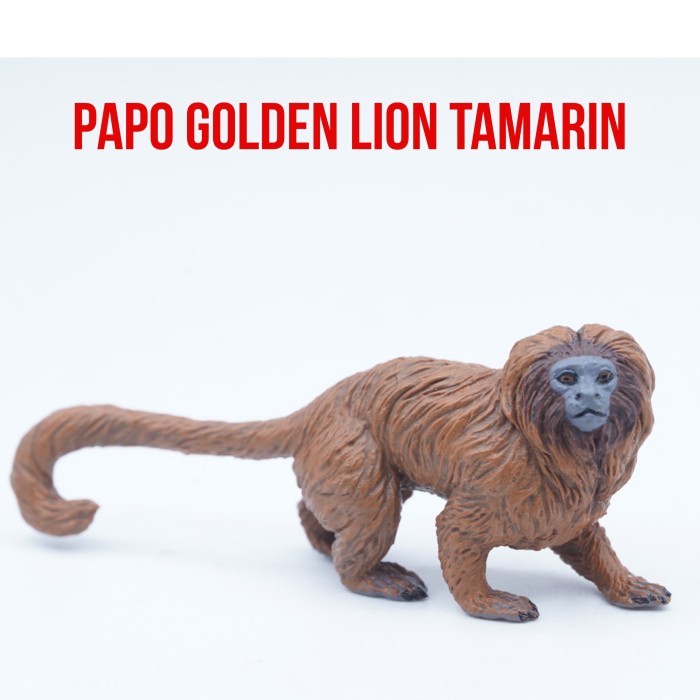 PAPO 50227 Golden Lion Tamarin Monkey Monyet Tamarin Singa Emas Marmoset Leontopithecus rosalia Main