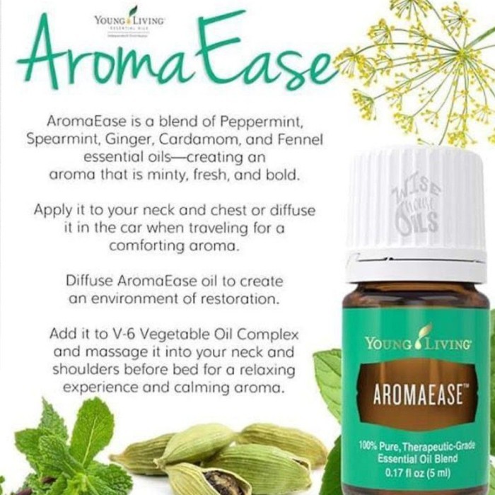 essentials young living young essential living aromaease 5ml original