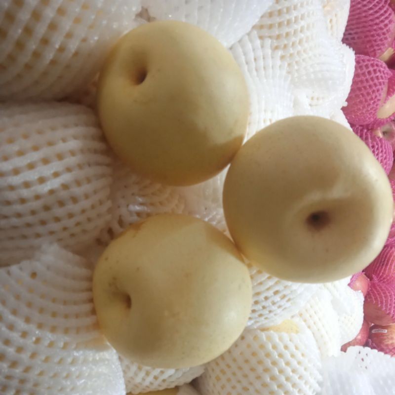 

Pear Kuning 1kg