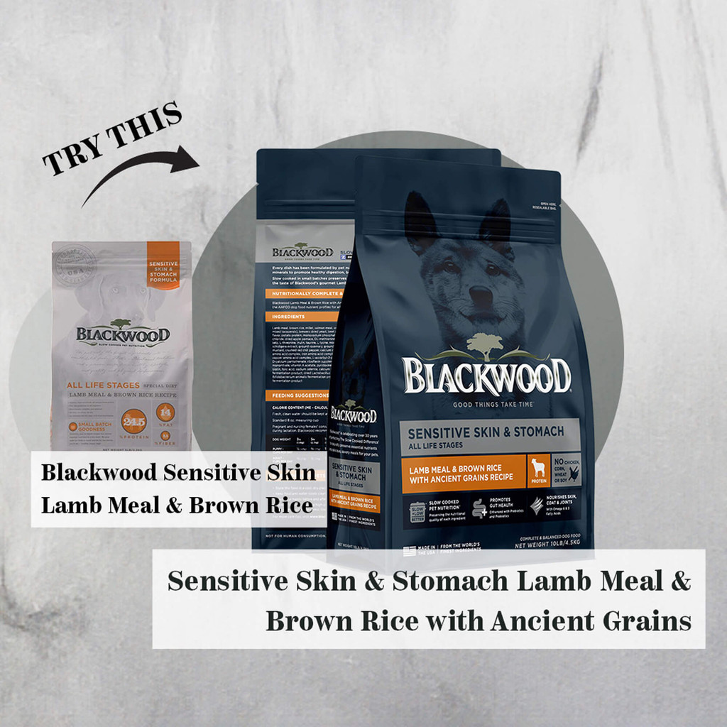 BLACKWOOD Zinpro Sensitive Skin Stomach Lamb Meal Brown Rice Ancient Grains 2.05 KG 4.5 LBS All Life