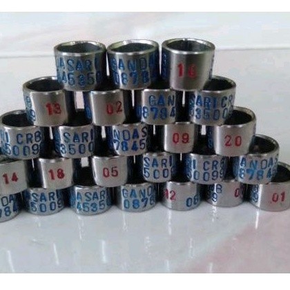 [Maestro] RING MERPATI BAJA KETOK MANUAL HAND MADE JAMAN DULU