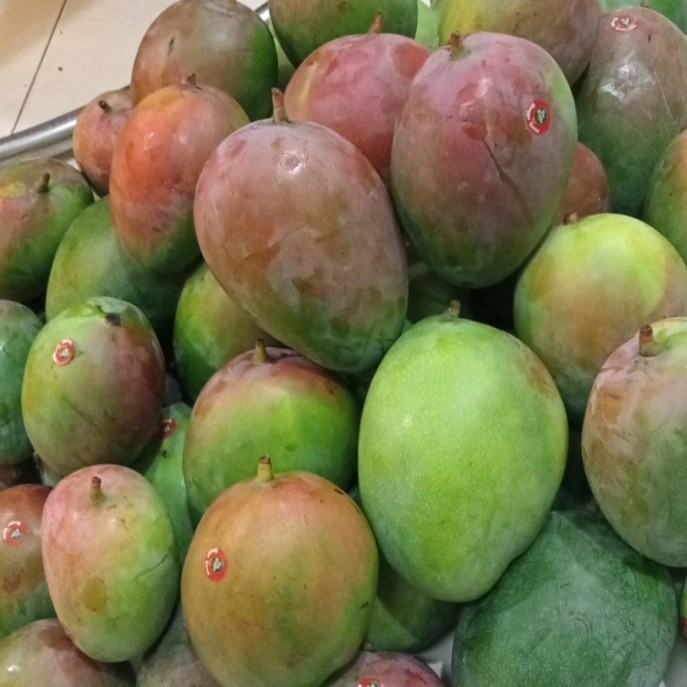 

Mangga Brasil Segar 1 Kg - manis asem seger