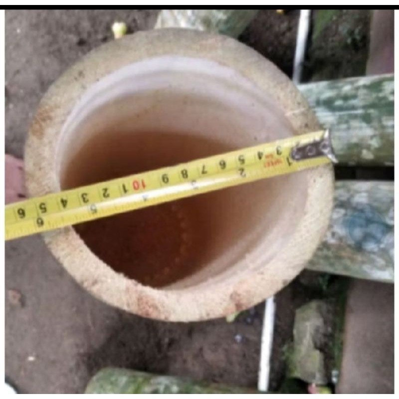 

BAMBU BULAT BITUNG/ANDONG SUPER JUMBO 120 CM 150 CM