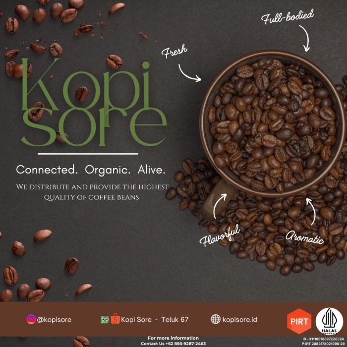 

Kopi Bubuk ARABIKA 1 Kg - Harga Sangat Terjangkau, Harum, Packing Rapi - Bean