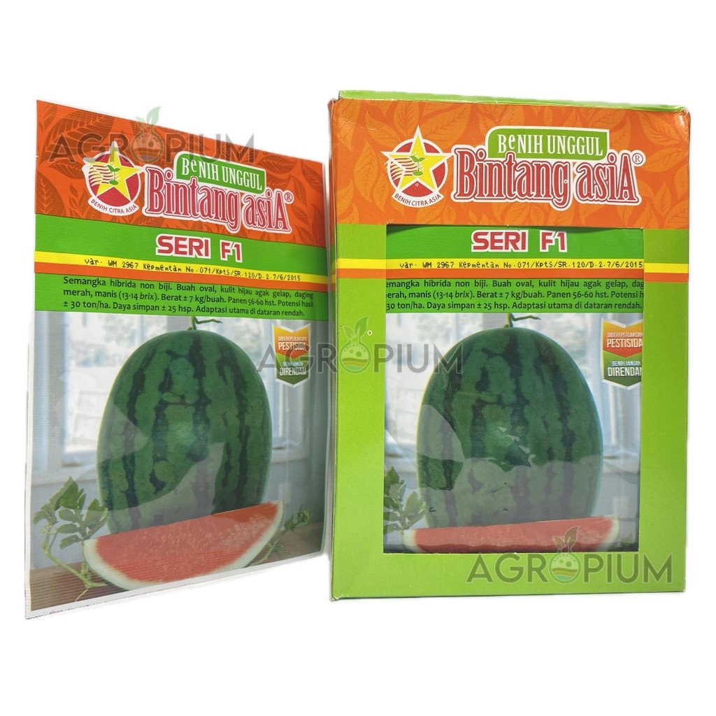 20 Gr Benih Semangka Non Biji Seri F1 Cap Bintang Asia