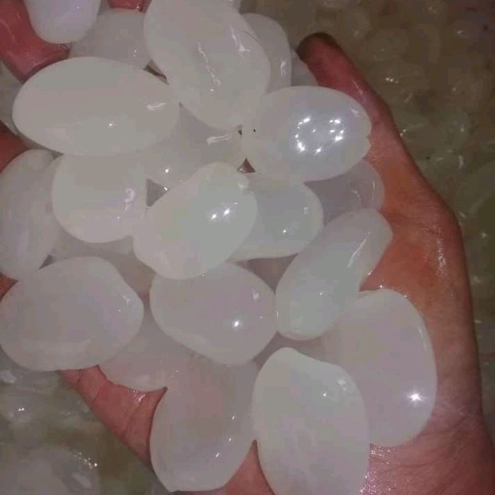 

colang caling fress /500 gram colang caling super-mentah siap masak
