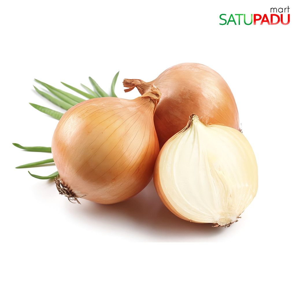 

Bawang Bombai Besar Segar 200gr / Bawang Bombay Besar Segar