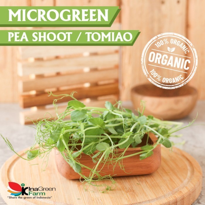 

Inagreen Farm Bandung Microgreen Organik Pea Shoot
