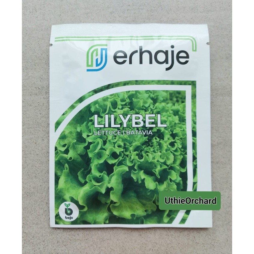 Benih Bejo Seed - Selada Batavia Lilybel Kemasan 1000 pills